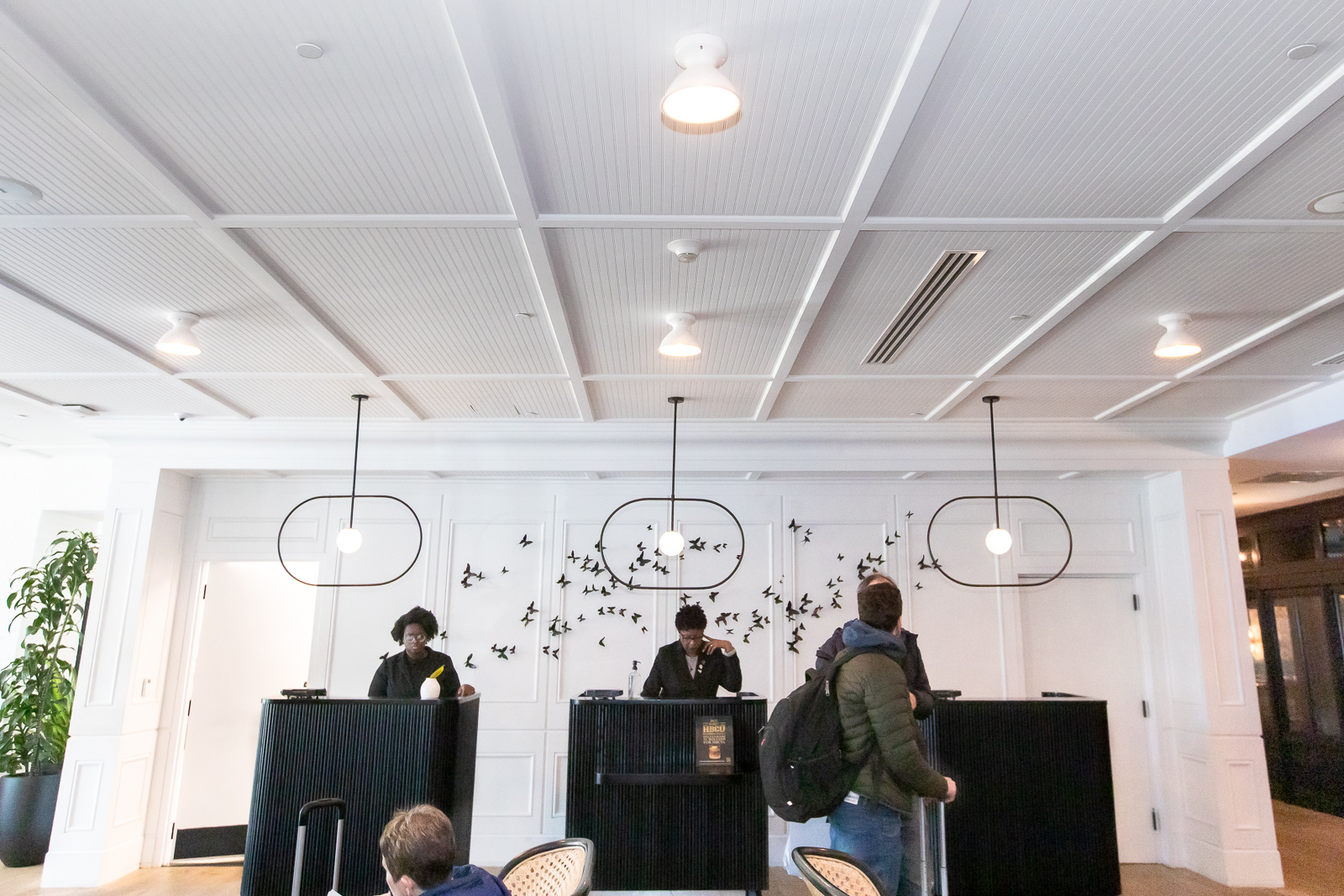 Kimpton Hotel Gets a Makeover With Help From Gator